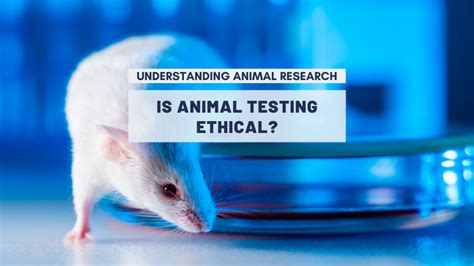 ethical considerations for animal testing